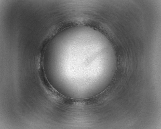 X0000071920694200607212108