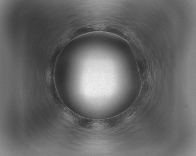 X0000071920697200607212108