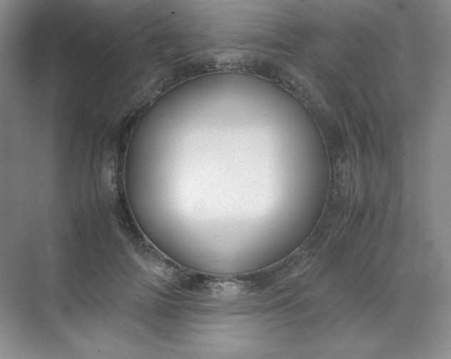 X0000071920698200607212108
