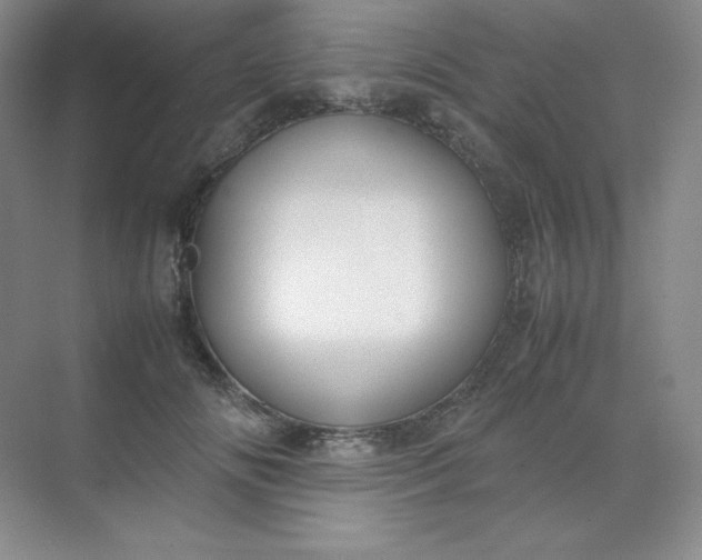 X0000071920702200607212108