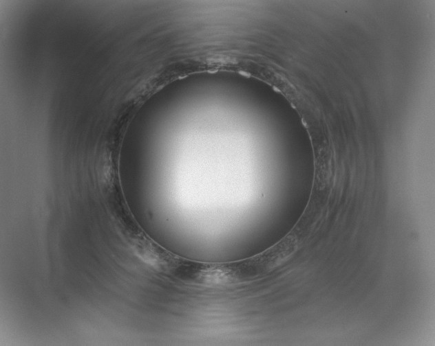 X0000071920704200607212108