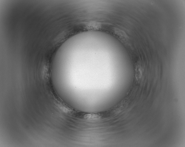 X0000071920714200607212108
