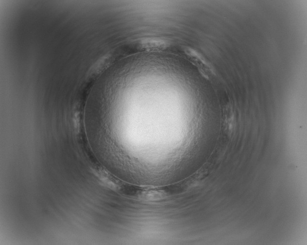 X0000071920716200607212108