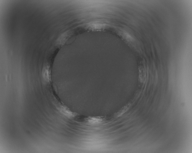 X0000071920718200607212108
