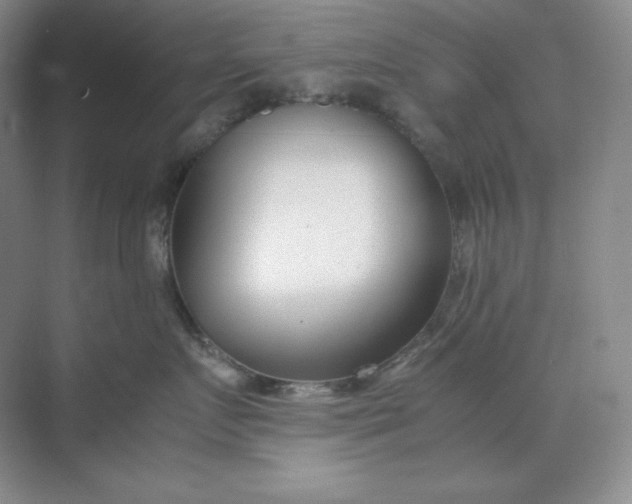 X0000071920719200607212108