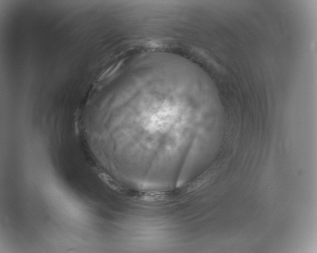 X0000071920720200607212108