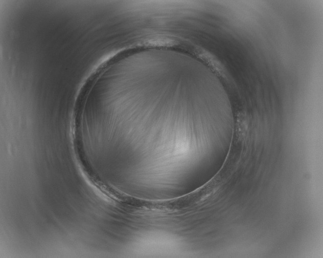 X0000071920726200607212107