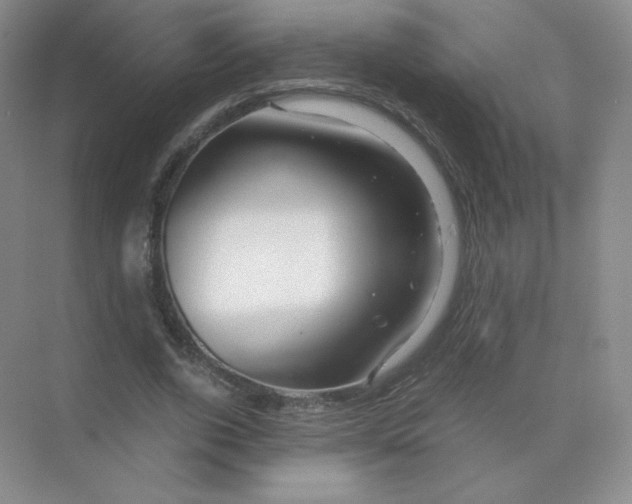 X0000071920728200607212107