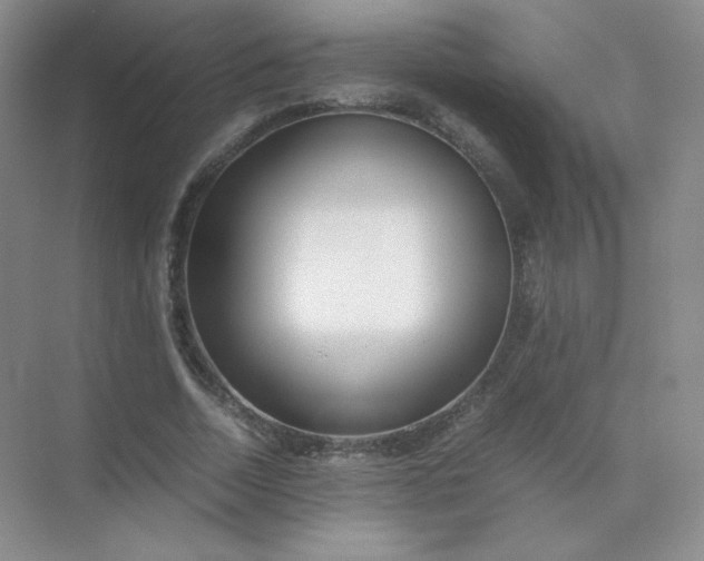 X0000071920730200607212107
