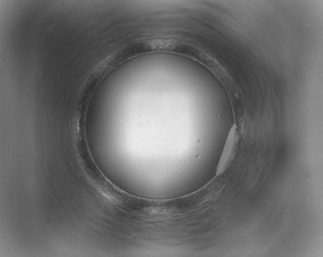 X0000071920733200607212107