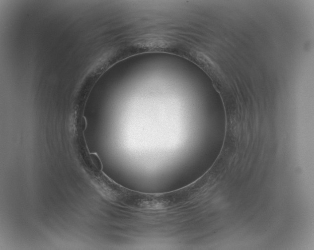 X0000071920735200607212107