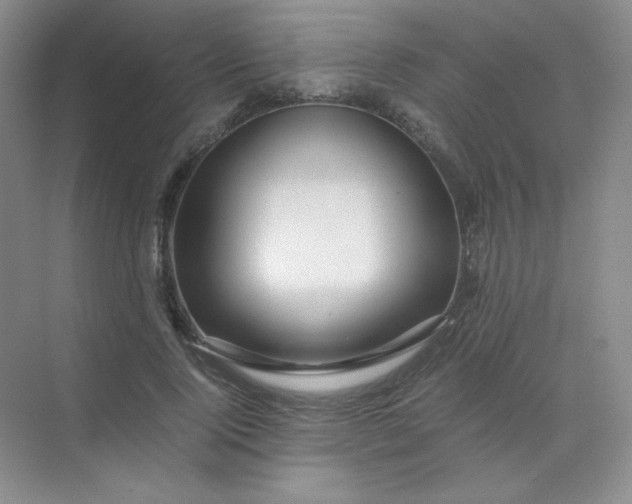 X0000071920740200607212107