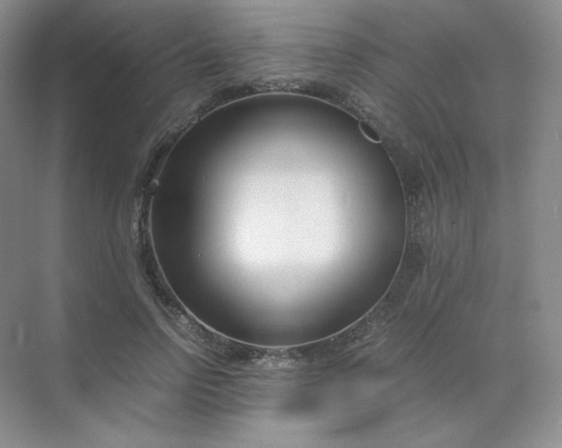 X0000071920742200607212107