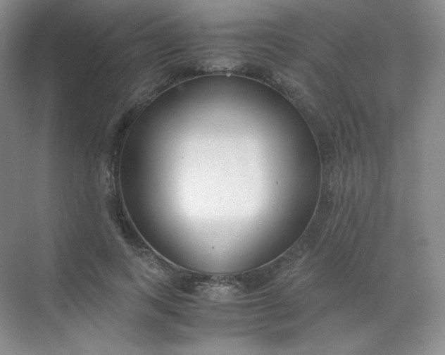 X0000071920743200607212107
