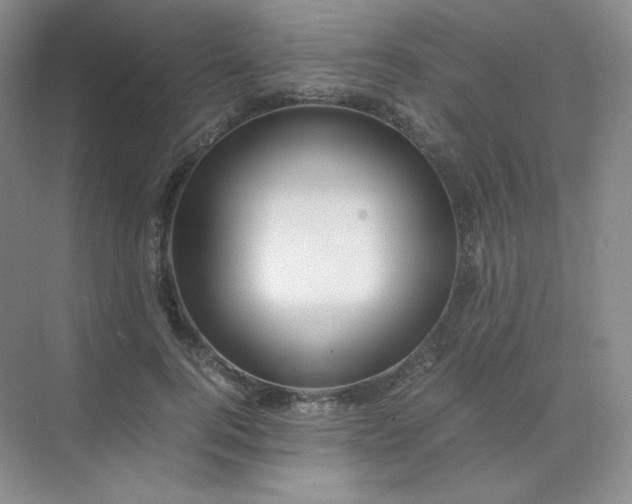 X0000071920744200607212107