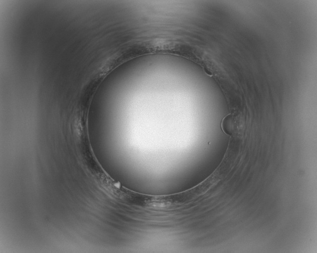 X0000071920746200607212107