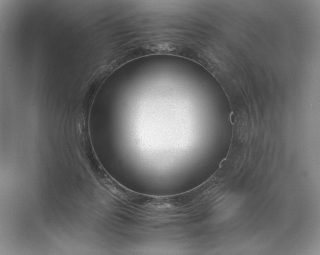X0000071920747200607212107