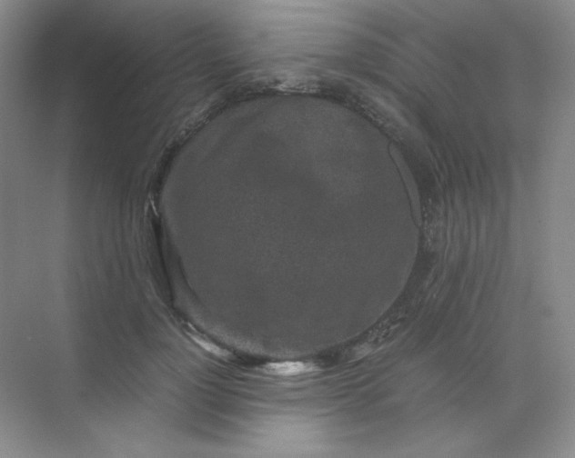 X0000071920748200607212108