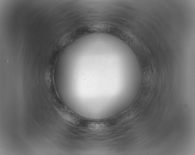 X0000071920749200607212108