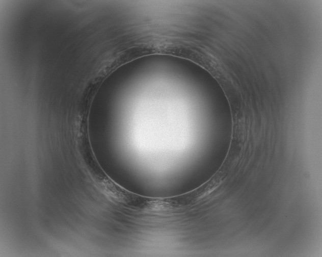 X0000071920750200607212108