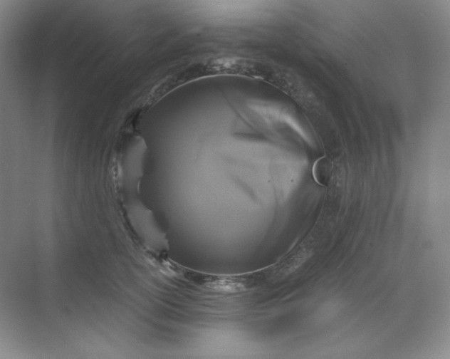 X0000071920754200607212108