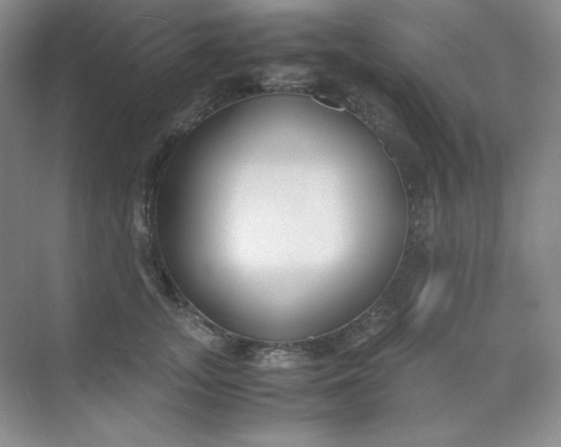 X0000071920755200607212108