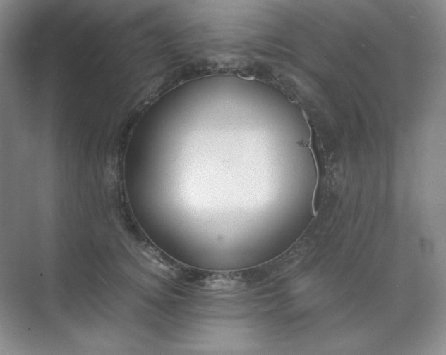 X0000071920756200607212108