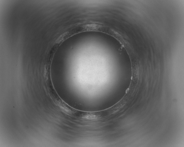 X0000071920759200607212108