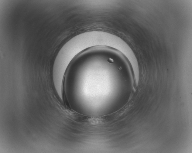 X0000071920762200607212108