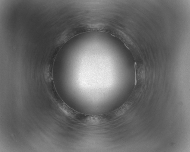X0000071920764200607212108