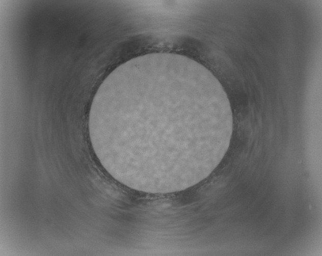X0000071920769200607212107
