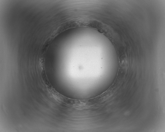 X0000071920772200607212107