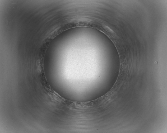 X0000071920774200607212107