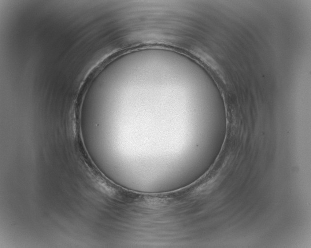 X0000071920782200607212107
