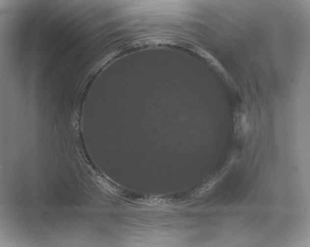 X0000071920785200607212107