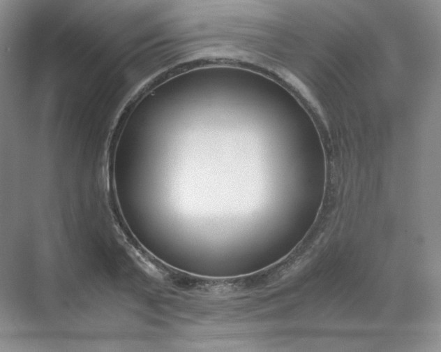 X0000071920791200607212107