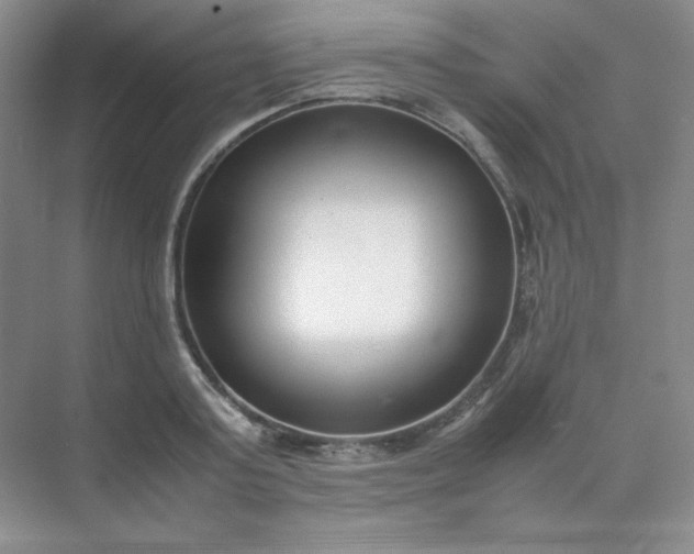 X0000071920795200607212107