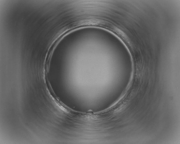 X0000071920802200607212106