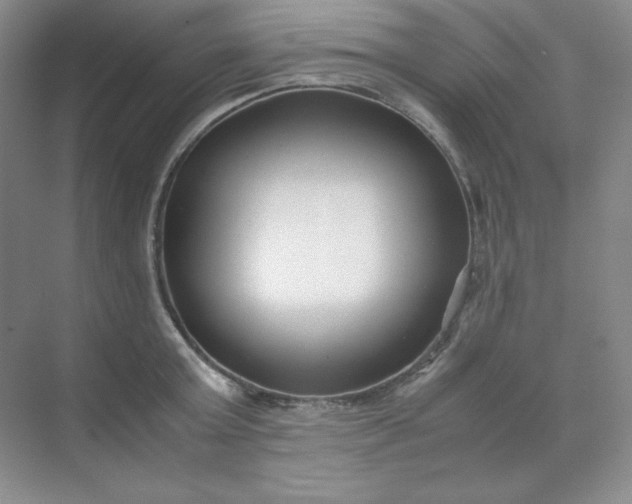 X0000071920803200607212106