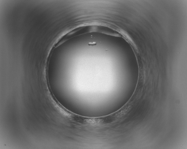 X0000071920805200607212106