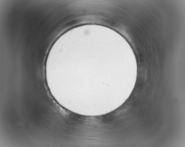X0000071920807200607212106