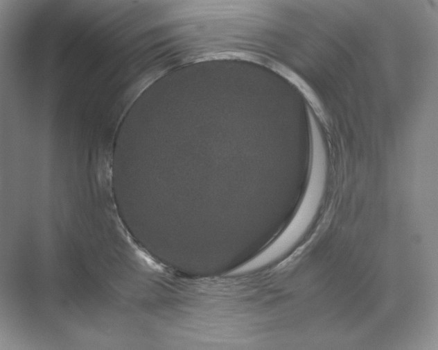 X0000071920809200607212106