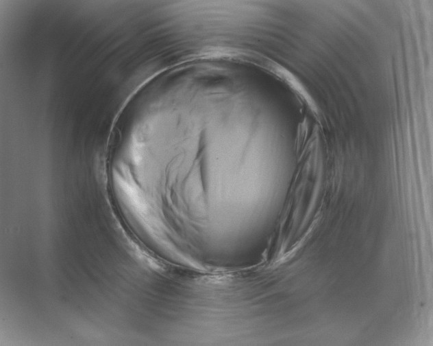 X0000071920810200607212106