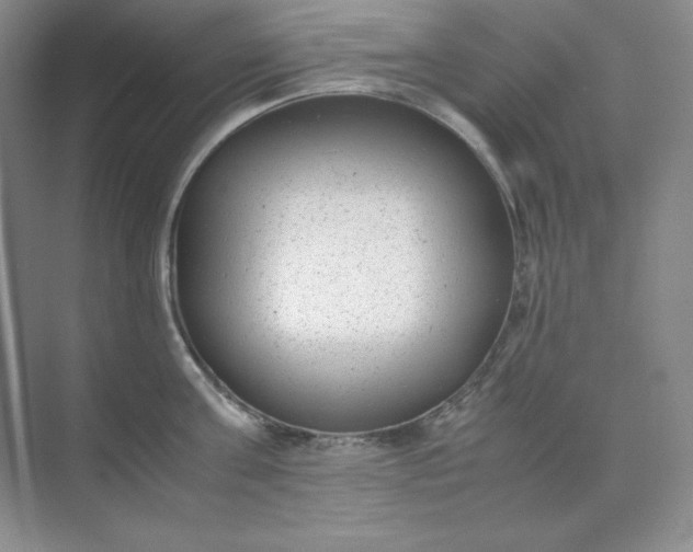 X0000071920811200607212106
