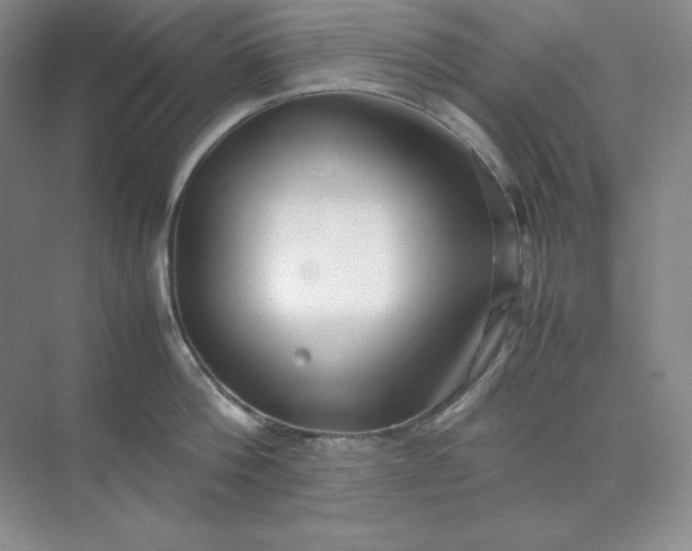 X0000071920812200607212106