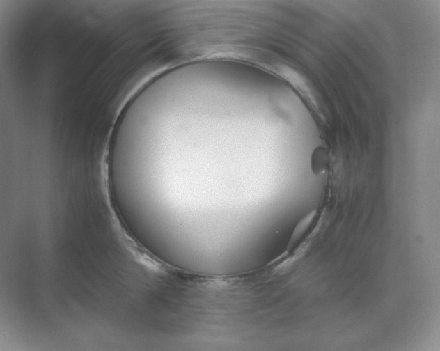 X0000071920814200607212106