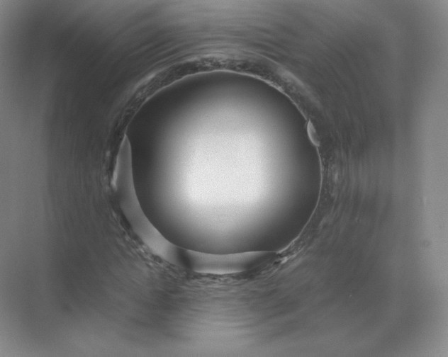 X0000071920822200607212106