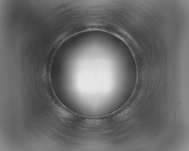 X0000071920825200607212106