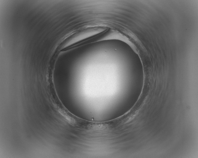X0000071920826200607212106