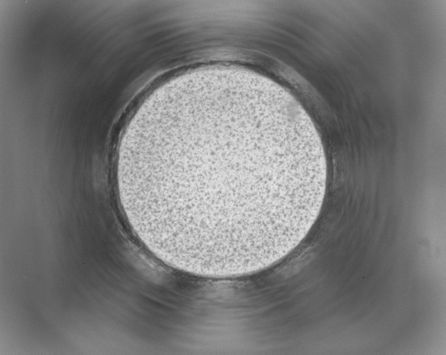 X0000071920828200607212106